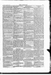 Wexford People Saturday 28 February 1885 Page 5