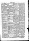 Wexford People Saturday 11 April 1885 Page 5