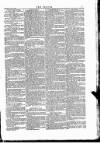 Wexford People Saturday 11 April 1885 Page 7