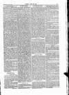 Wexford People Wednesday 15 April 1885 Page 4