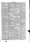 Wexford People Wednesday 22 April 1885 Page 7