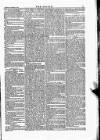 Wexford People Saturday 14 November 1885 Page 7