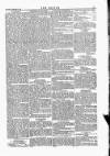 Wexford People Saturday 12 December 1885 Page 5
