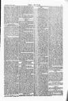 Wexford People Wednesday 13 January 1886 Page 5