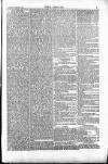 Wexford People Wednesday 03 February 1886 Page 5