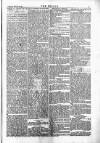 Wexford People Wednesday 10 February 1886 Page 5