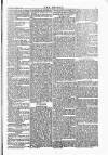 Wexford People Wednesday 17 March 1886 Page 7