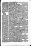 Wexford People Saturday 20 March 1886 Page 5