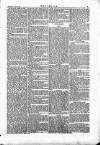 Wexford People Wednesday 14 April 1886 Page 5