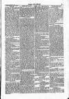 Wexford People Saturday 04 December 1886 Page 5
