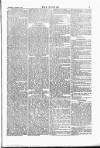 Wexford People Wednesday 19 October 1887 Page 7