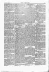 Wexford People Saturday 05 November 1887 Page 5
