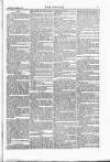 Wexford People Saturday 05 November 1887 Page 7