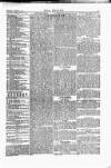 Wexford People Saturday 19 November 1887 Page 7