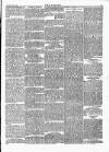 Wexford People Saturday 21 April 1888 Page 5