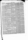 Wexford People Wednesday 23 January 1889 Page 3