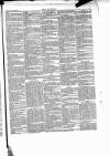 Wexford People Wednesday 23 January 1889 Page 7