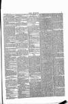 Wexford People Saturday 16 March 1889 Page 7