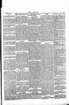 Wexford People Saturday 20 April 1889 Page 5