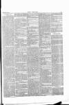 Wexford People Wednesday 29 May 1889 Page 7