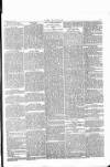 Wexford People Wednesday 03 July 1889 Page 5