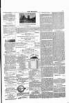 Wexford People Wednesday 24 July 1889 Page 3