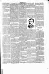 Wexford People Saturday 28 September 1889 Page 5