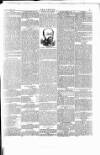 Wexford People Saturday 12 October 1889 Page 5