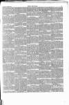 Wexford People Wednesday 13 November 1889 Page 5