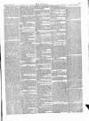 Wexford People Saturday 11 January 1890 Page 7