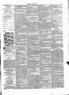 Wexford People Saturday 22 February 1890 Page 3