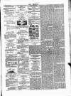 Wexford People Saturday 22 March 1890 Page 3