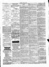 Wexford People Wednesday 30 July 1890 Page 3