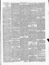 Wexford People Saturday 09 August 1890 Page 5