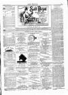 Wexford People Saturday 01 November 1890 Page 3