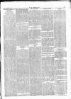 Wexford People Saturday 01 November 1890 Page 5