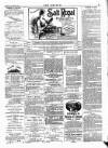 Wexford People Wednesday 12 November 1890 Page 3