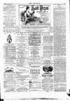 Wexford People Wednesday 19 November 1890 Page 3