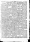 Wexford People Saturday 29 November 1890 Page 7