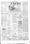 Wexford People Saturday 20 December 1890 Page 3