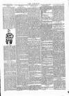 Wexford People Saturday 20 December 1890 Page 5