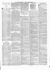 Wexford People Saturday 20 December 1890 Page 11