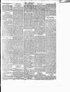 Wexford People Saturday 10 January 1891 Page 5