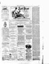 Wexford People Wednesday 14 January 1891 Page 3