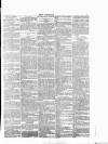 Wexford People Wednesday 14 January 1891 Page 7