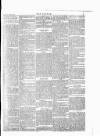 Wexford People Wednesday 21 January 1891 Page 5