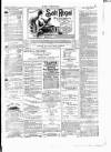 Wexford People Saturday 24 January 1891 Page 3