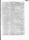 Wexford People Wednesday 28 January 1891 Page 5