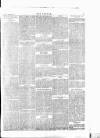 Wexford People Saturday 07 February 1891 Page 5