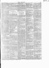 Wexford People Wednesday 11 February 1891 Page 7